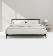 Green sofa on a white background